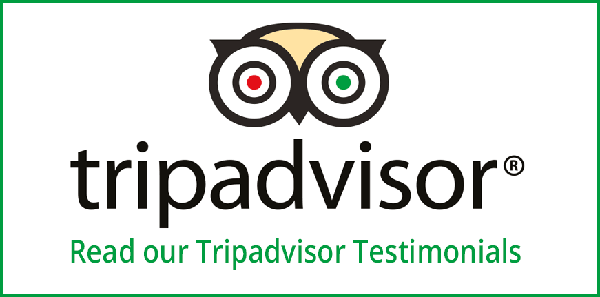 tripadvisor-testimonials-link.png